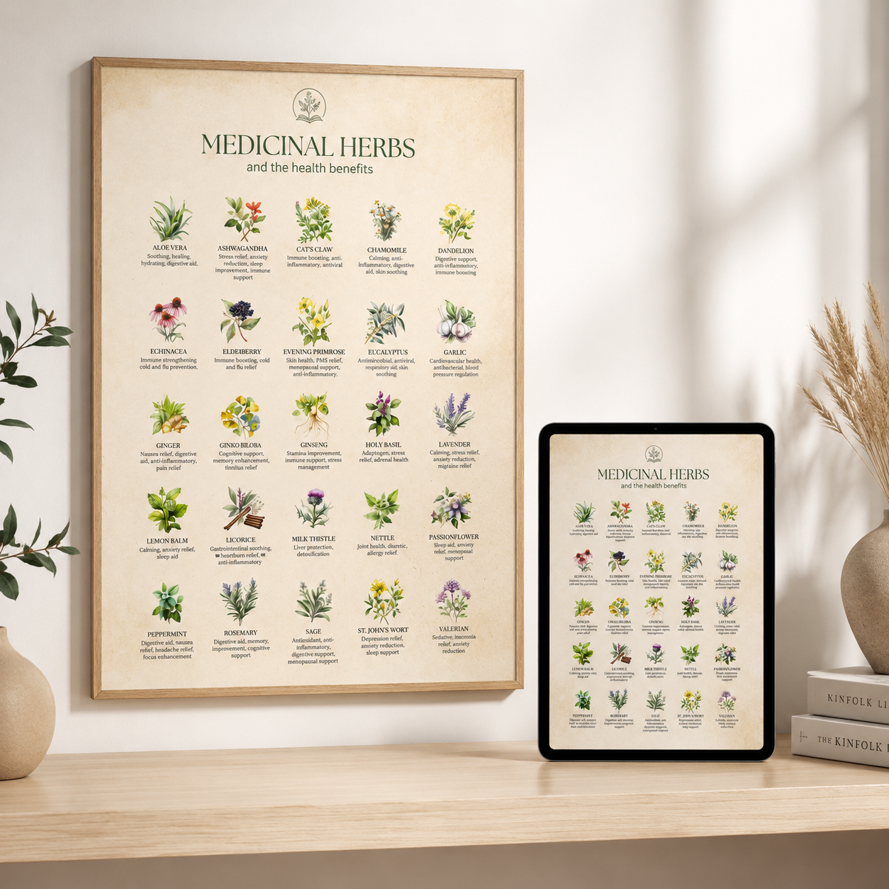 Free bonus 1: printable Medicinal Herbs poster framed on a wall